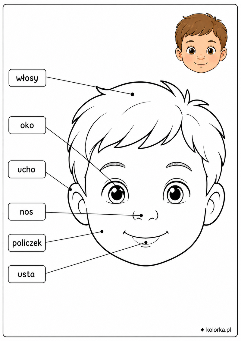 Kolorowanki anatomia człowieka - Twarz dziecka z podpisanymi elementami