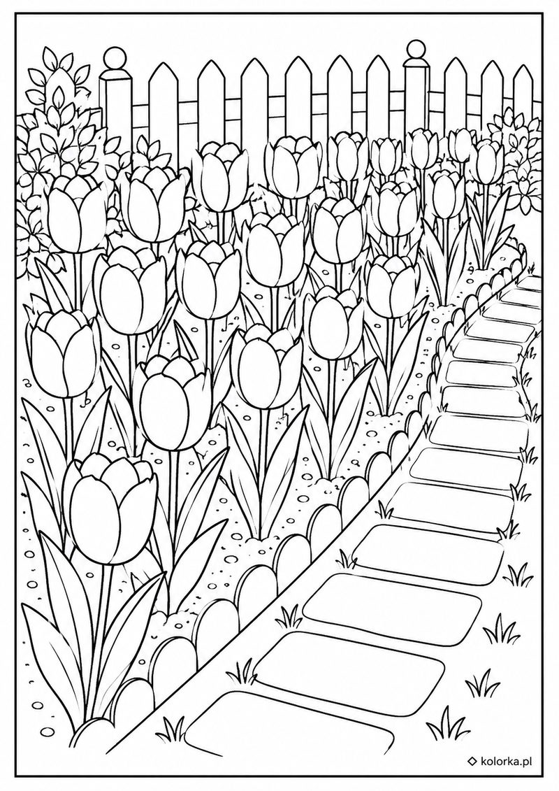 Kolorowanki kwiaty - tulipany rosnące przy ogrodowej alejce